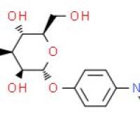 4-异硫氢酸苯基-Α-D-甘露糖苷