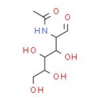 N-乙酰-D-半乳糖胺