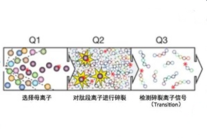 技术资料图片1
