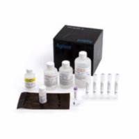 Agilent 大片段试剂盒