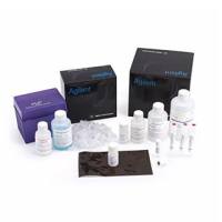 Agilent gDNA 165 kb 分析试剂盒