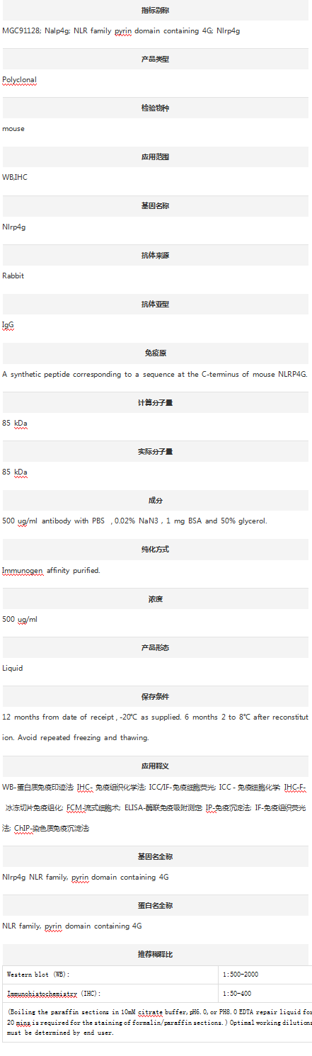 Anti-NLRP4G  Antibody