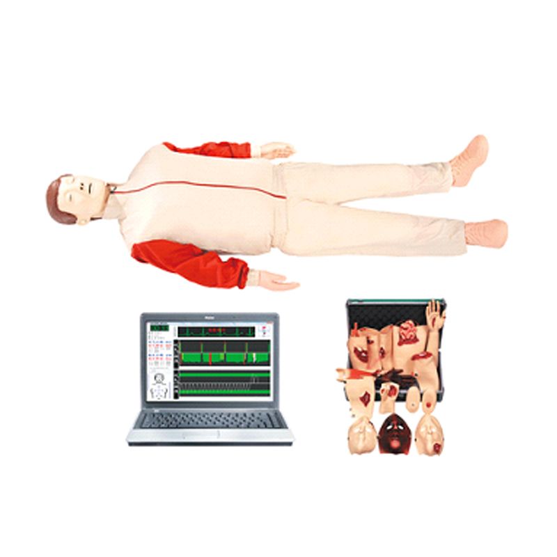 艾米立 高级心肺复苏、创伤模拟人 IMY2014