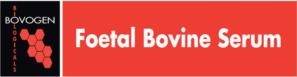Bovogen胎牛血清（SFBS）现货供应