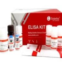 Rabbit HGF ELISA Kit- 2 Plates