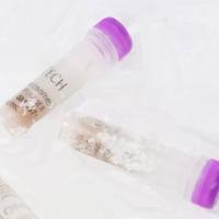 兔肝细胞胞液 美国进口  Pooled New Zealand rabbit liver cytosol, male