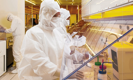 【签约一级代理商】康成&金佰利