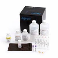 Agilent NGS 片段试剂盒 (1–6000 bp)