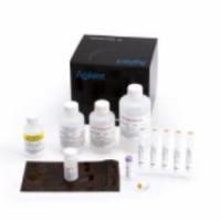 Agilent NGS Fragment Kit (1-6000bp)