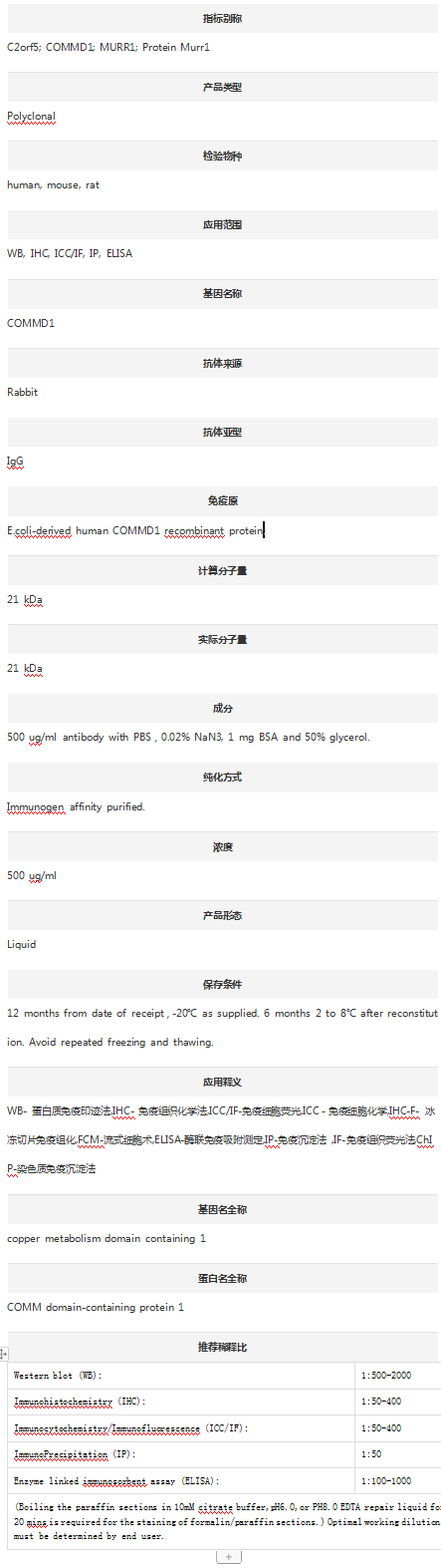 Anti-COMMD1 antibody