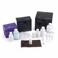 Agilent Fragment Analyzer Large Fragment Analysis Kits/HS 