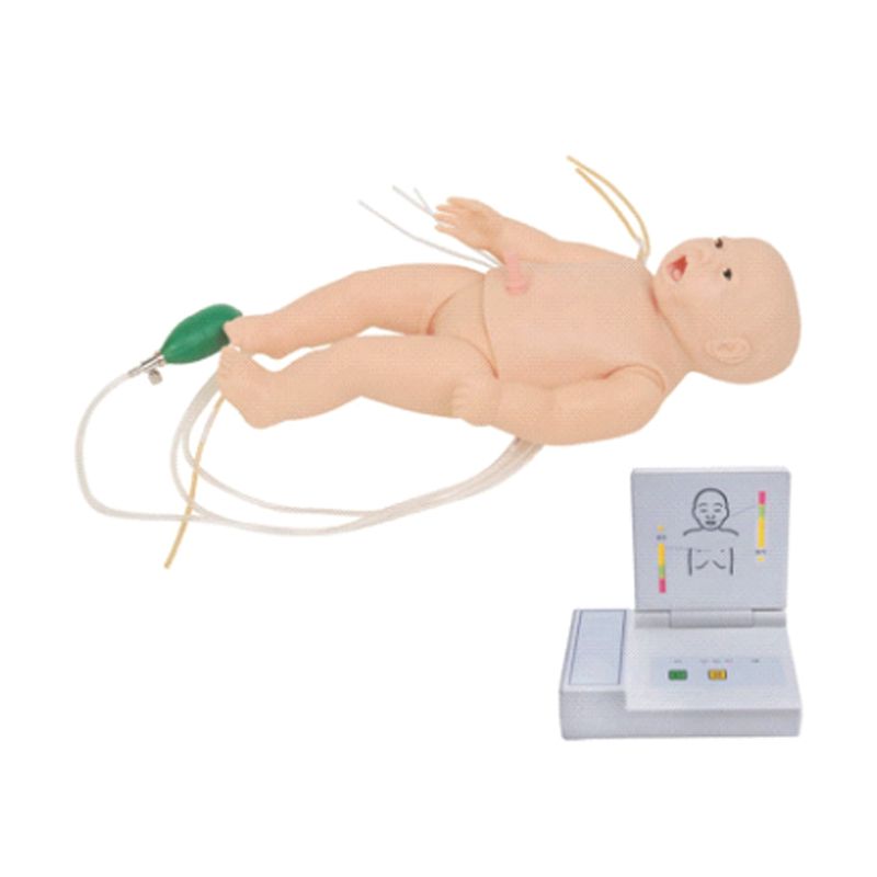 艾米立  高级新生儿综合急救训练模拟人 IMY2010