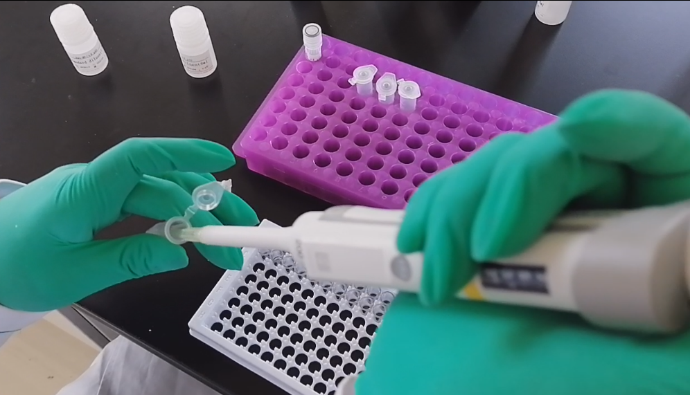 干货分享：Elisa试剂盒常用方法及常见问题详解