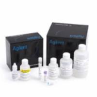 Agilent dsDNA 905 试剂盒 (1–500 bp)