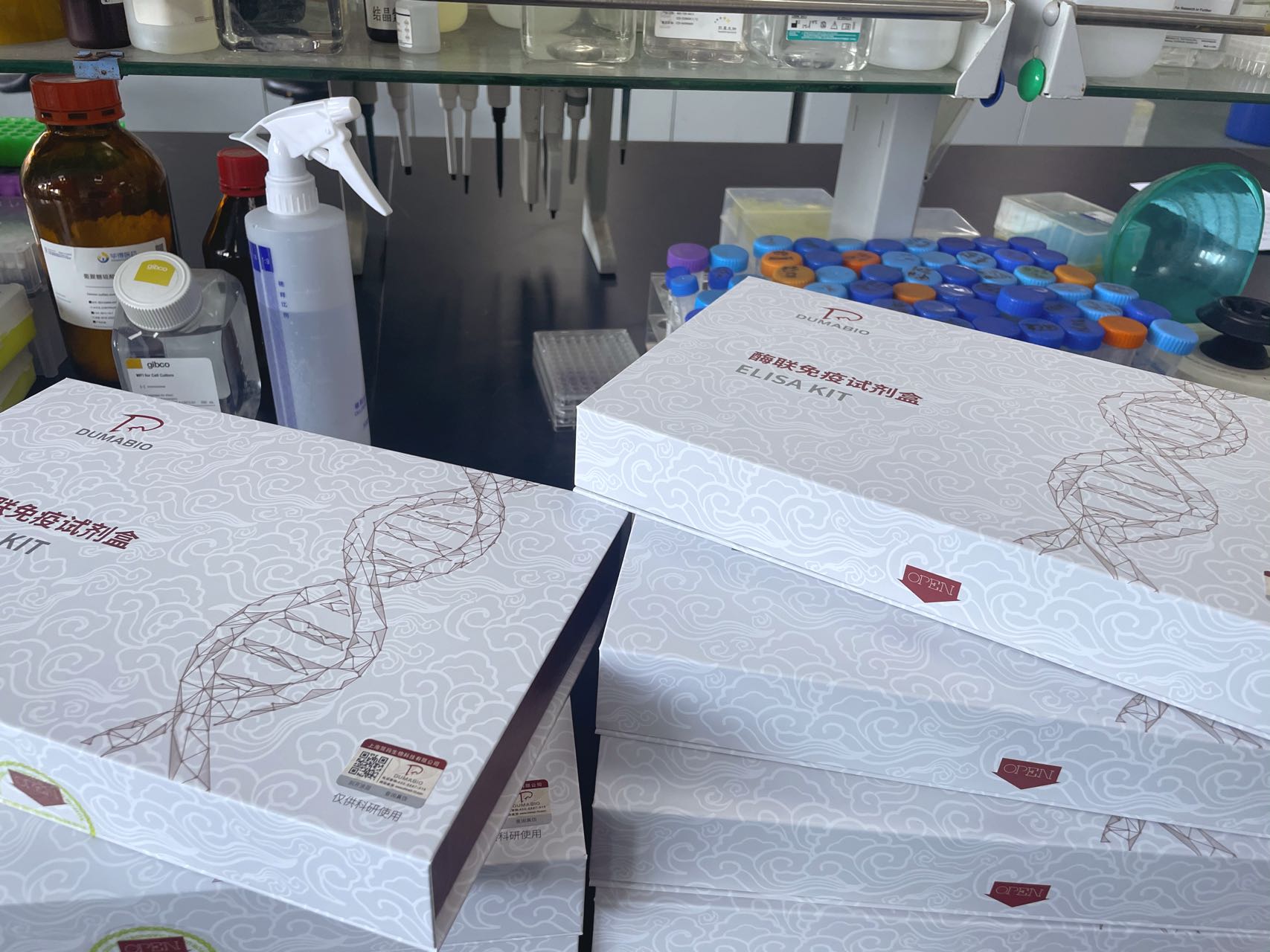 人鞘氨醇-1-磷酸磷酸酶1(SGPP1)ELISA试剂盒