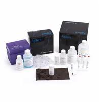 Agilent Oligo Pro II Reagents/寡核苷酸验证标准溶液