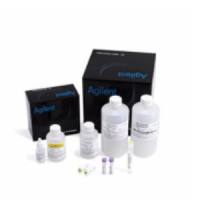 Agilent ZAG dsDNA Kits/ZAG 135 dsDNA 试剂盒（1-1500 bp）