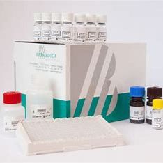 总神经纤毛蛋白1 ELISA试剂盒Total Soluble Neuropilin-1 ELISA | BI-20409