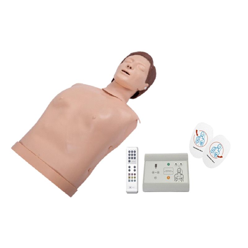 艾米立 自动体外模拟除颤与CPR模拟人训练组合 IMY2030