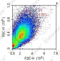 Elabscience细胞功能 | 流式TUNEL常见异常结果分析