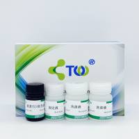 茜素红染色试剂盒/成骨诱导检测