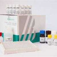 DKK-1 ELISA Kit （BI-20413）