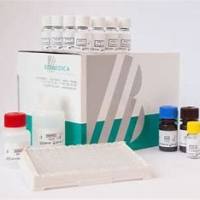 FGF23 (C-terminal) ELISA Kit 成纤维细胞生长因子23 BI-20702