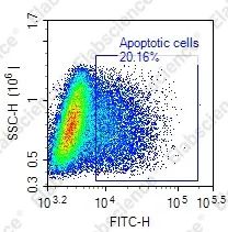 Elabscience细胞功能 | 流式TUNEL常见异常结果分析