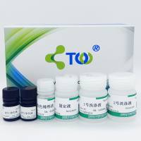 油红O染色试剂盒/成脂诱导检测