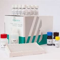 臂板蛋白4D ELISA试剂盒Semaphorin 4D ELISA|BI-20405