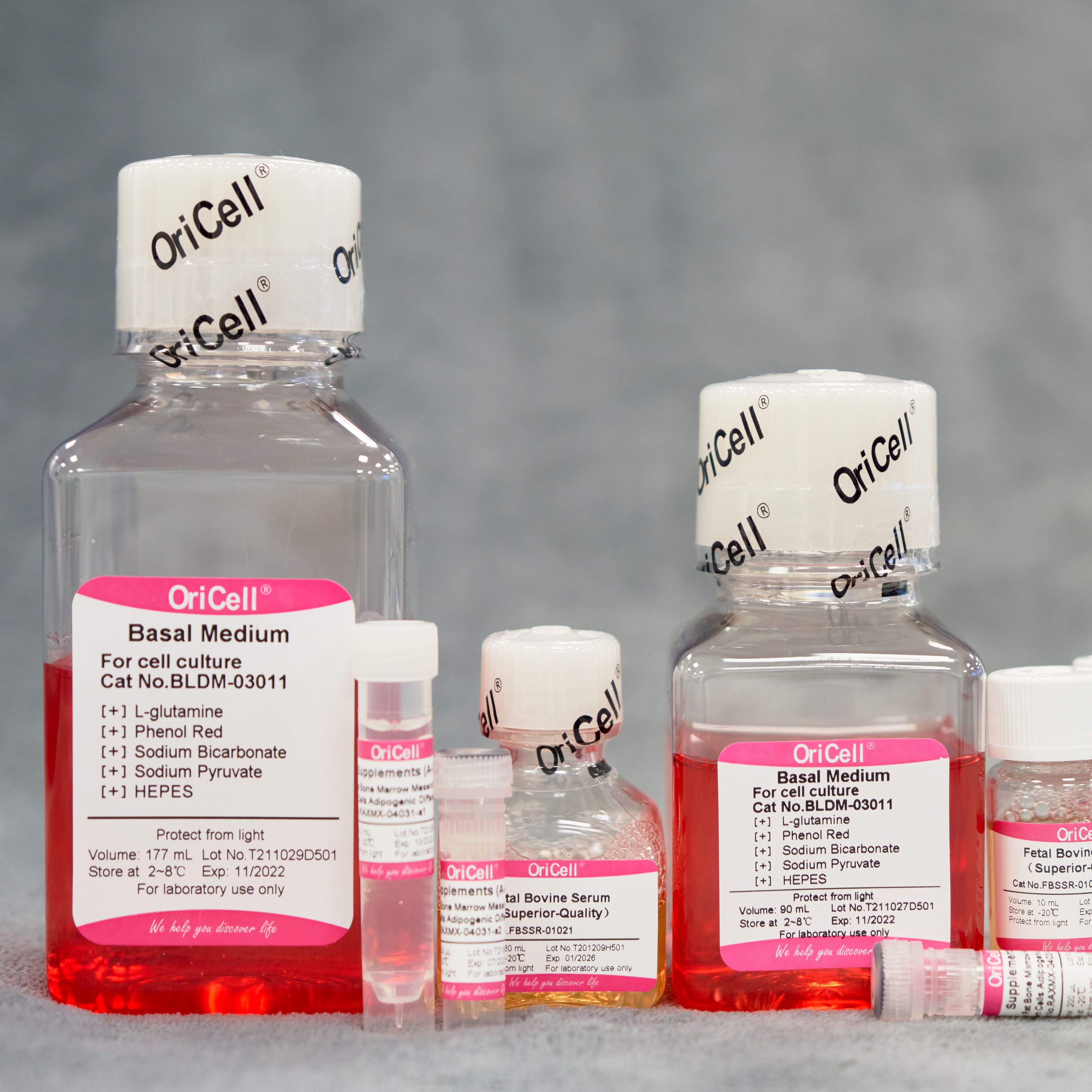 OriCell®小鼠3T3-L1细胞成脂诱导分化试剂盒