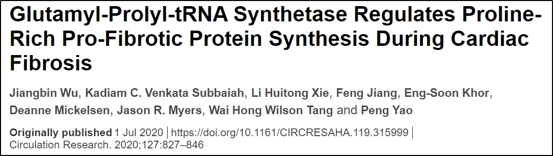 Circ Res. | 心脏纤维化研究中Polysome profiling技术的应用