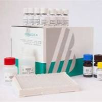 Human Sclerostin (SOST) ELISA  人硬骨素检测试剂盒  BI-20492