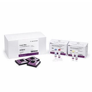 Agilent 2100配套试剂/安捷伦试剂/Protein 80 kit