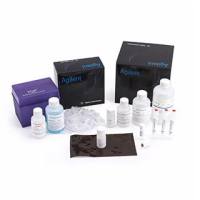 Agilent Femto Pulse BAC Kits（165kb）