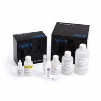 Agilent dsDNA 915 试剂盒 (35–5000 bp)，500