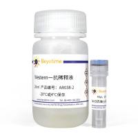 Rab5抗体(小鼠单抗)