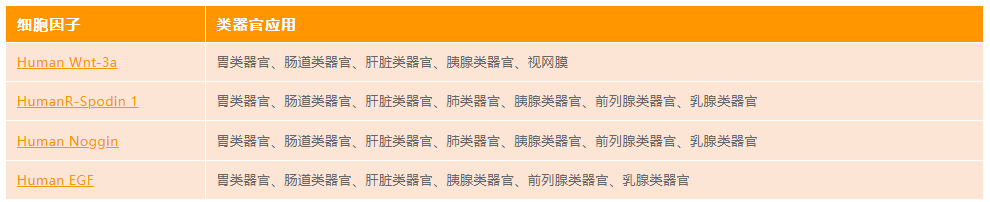 类器官培养中最经典的细胞因子培养方案—WNER