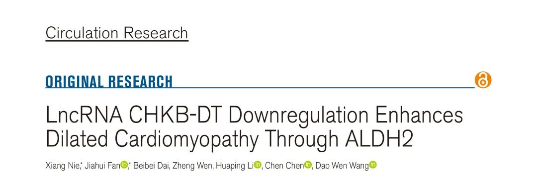 Circ Res（IF20+）丨LncRNA CHKB-DT下调通过ALDH2增强扩张型心肌病