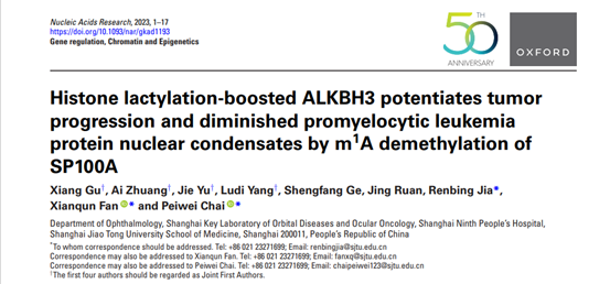 上海九院眼科范先群院士团队揭示眼黑色素瘤组蛋白乳酸化与RNA甲基化修饰桥联调控机制