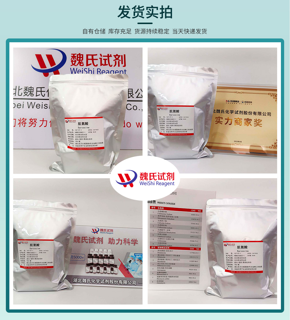 肌氨酸—107-97-1—Sarcosine