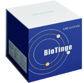 BioTinge 染色试剂盒 