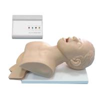 艾米立 电子人体气管插管训练模型 IMY2036