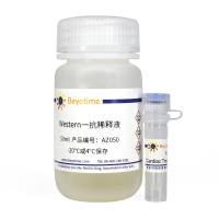 Cardiac Troponin T Rabbit Polyclonal Antibody