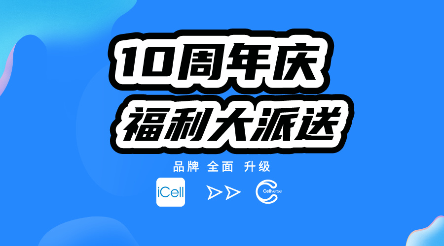 十周年庆优惠活动