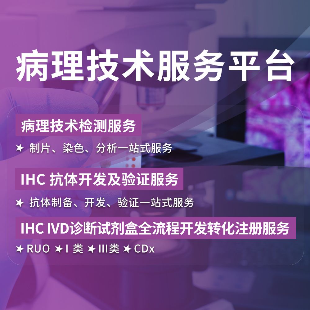 IHC IVD诊断试剂盒全流程开发转化注册服务