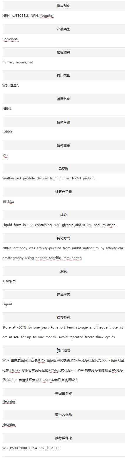Anti-Neuritin/NRN1 Antibody