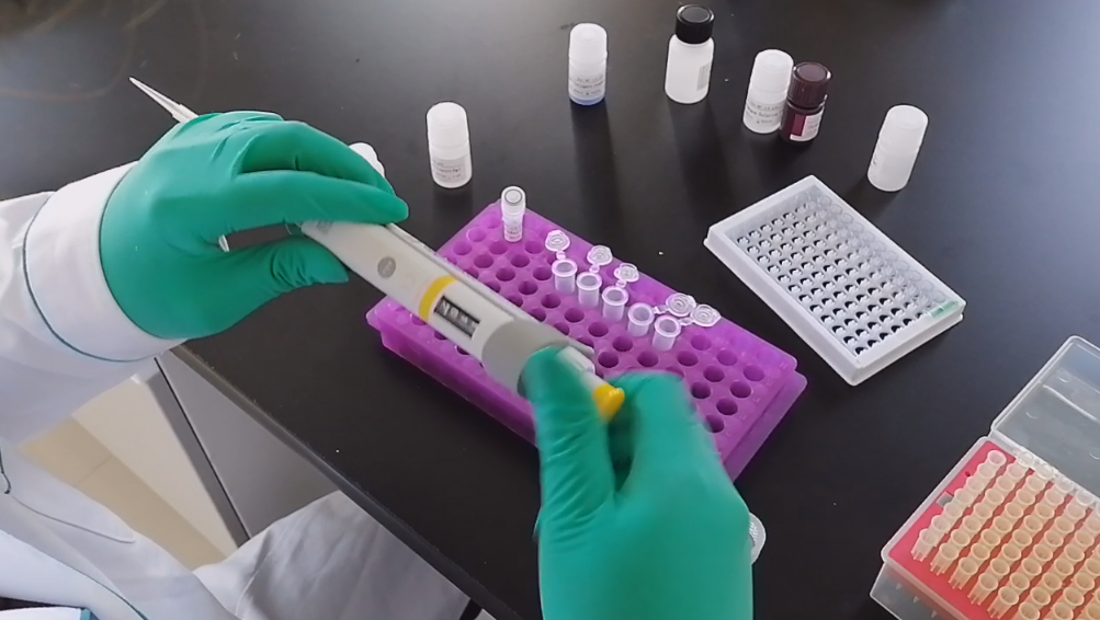 BUNSEN快讯：ELISA试剂盒实验怎样才能减少实验误差