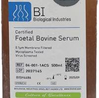 BI血清04-001-1ACS现货13611631389上海睿安生物