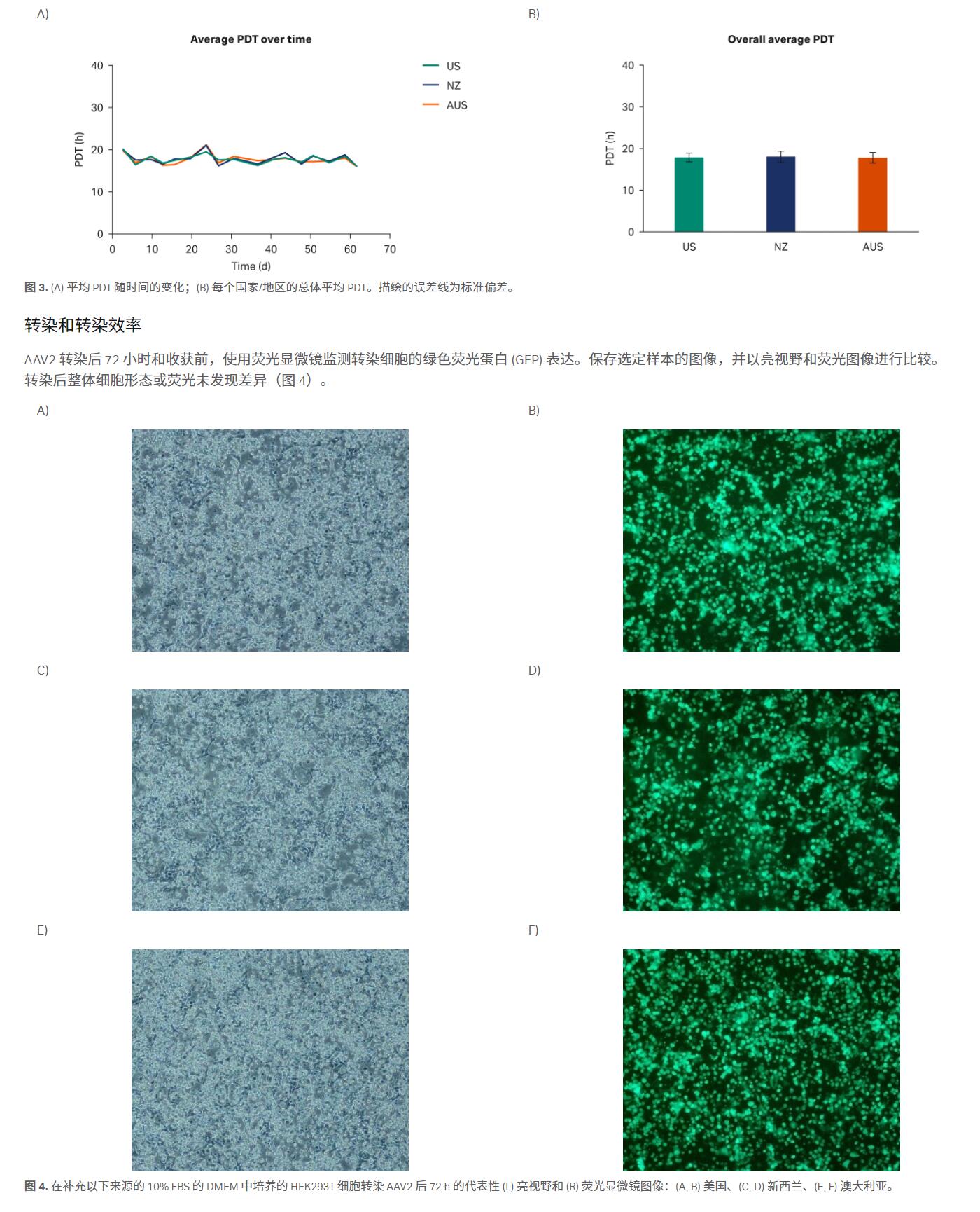 HyClone 优级胎牛血清 (FBS)，新西兰胎牛血清